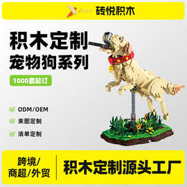 外贸跨境定制积木宠物狗模型拼装玩具摆件带图片设计造型