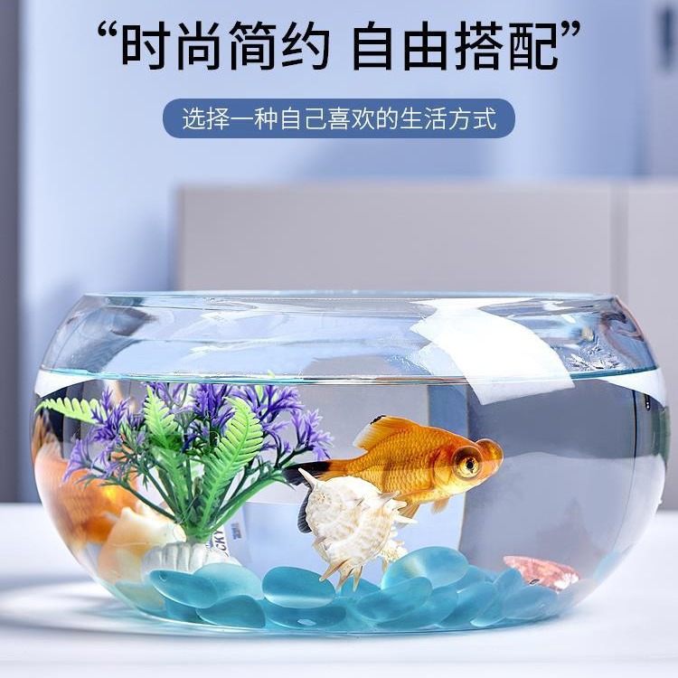 创意水族箱生态圆形玻璃缸 大号乌龟缸 迷你小型造景水培花瓶