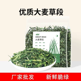 鸟笼;其他小宠用品;鸟食