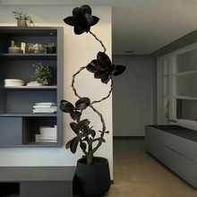 真植物鲜活绿植单飘枝黑金刚橡皮树基地批发新中式家居装饰乔迁送