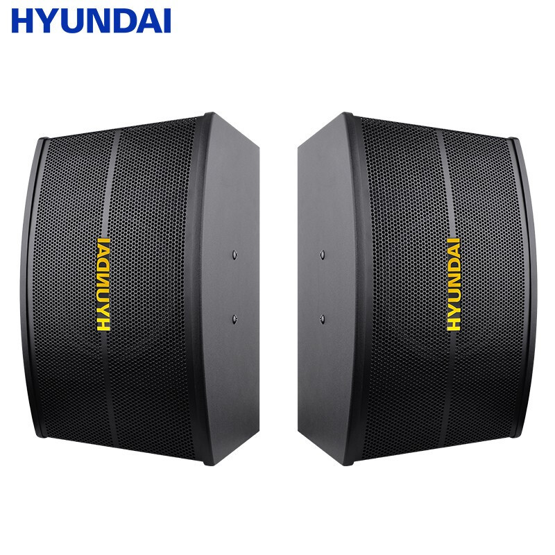 [HY10P] modern 10-inch professional three-frequency audio pair