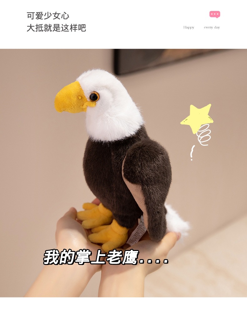 (17).jpg