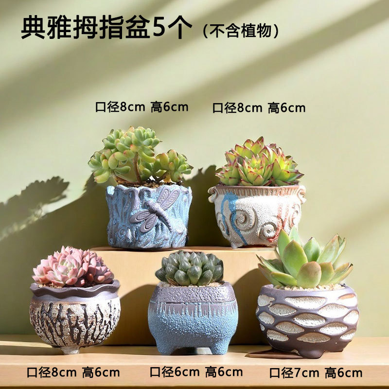 5 pulgares coloridos