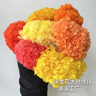 ���������~������Ϲ��S���l�羳��Y�Ҿ�ܛ�b�b[������
