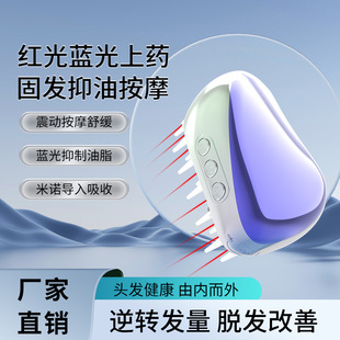 Red and Blue Light Instrument Hair Massage Comb, Scalp Care Applicator, Hair Growth Therapy, Laser Hair Growth