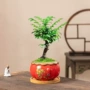 盆栽桌面小叶家用花盆