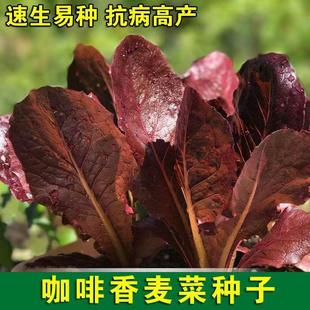 �N��ٺϻ������������M�ڴ��[���������˷N���ﶬ���������N