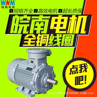 皖南电机YBX3高效率隔爆型三相异步电动132kw160kw185kw200kw