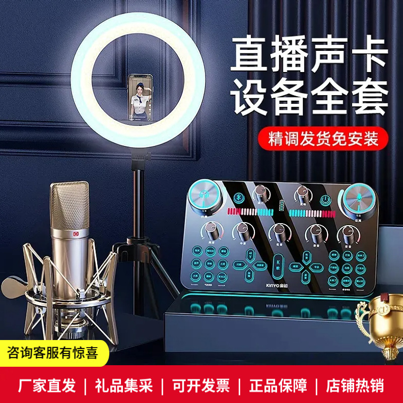 金运V20直播设备全套装声卡抖音唱歌手机专用录音2025新款K歌专业|undefined