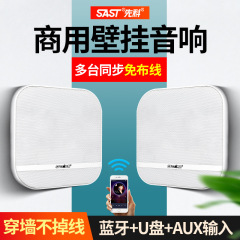 Xianke C10 ワイヤレス Bluetooth 壁掛けオーディオスピーカーショップ専用美容室レストラン衣料品スーパーマーケット販売業者
