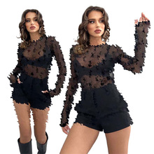������-������Y71632ŷ��Ůװ�羳 �Ը�͸�� ��Ȥ ��ɴ�����