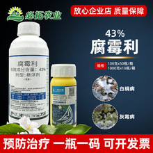 一帆43%腐霉利葡萄灰霉病玄参白绢病农用杀菌剂农药腐霉俐农资店