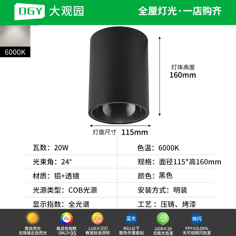 Da Guanyuan lámpara de techo Led Led Light Downlight House Pasillo de la sala de estar sin lámpara principal 495L image 65