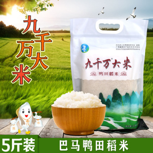 �V�����R���ﵾ��������״u�r���Ԯa�����L�����s�Z���Ϸ��z����