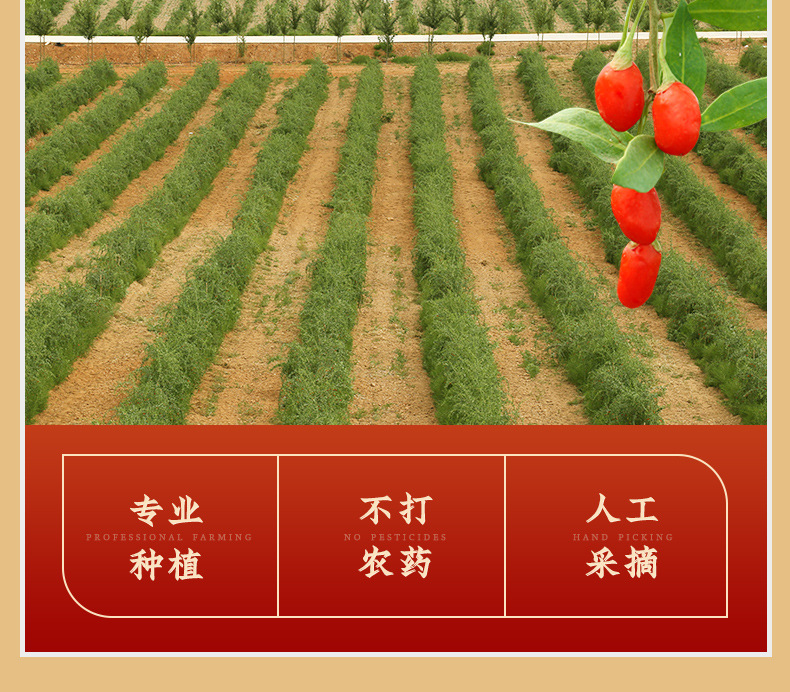 Dried Ningxia Goji Berries Gou Qi Zi 40 Jin Bulk Box Premium Grade quality and texture