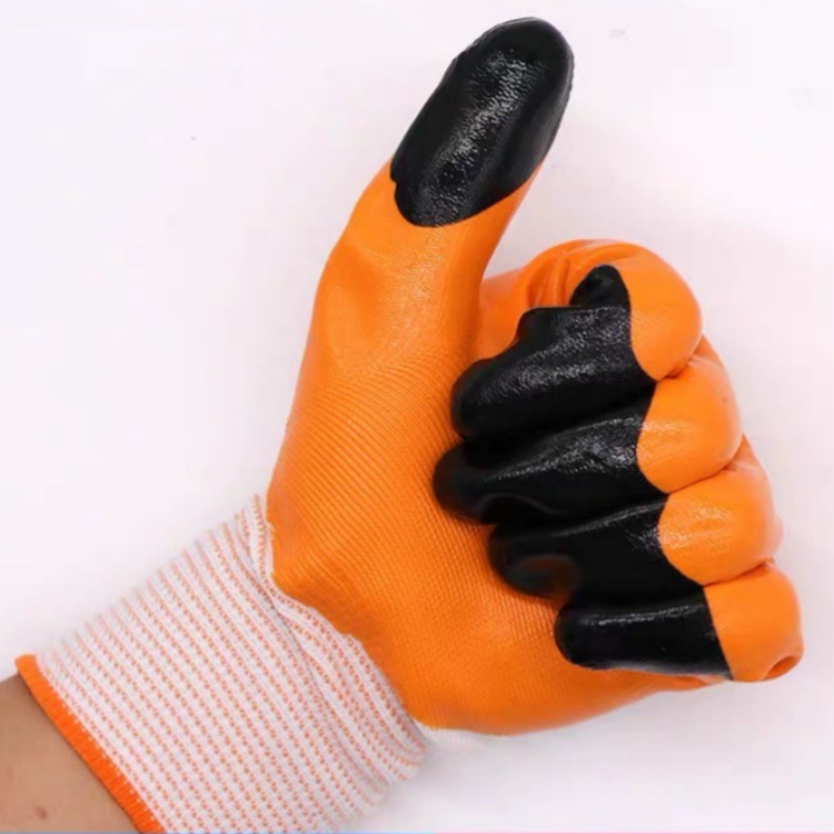 IMG_0875(20231127-231140)