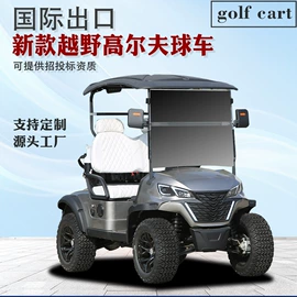 电动观光车;高尔夫球车;其他电动车