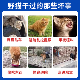⇡ Outdoor Long-Lasting Cat Repellent to Prevent Cats from Climbing into Cars, to Repel Cats and Dogs, to Prevent Wild Cats from Urinating and Urinating