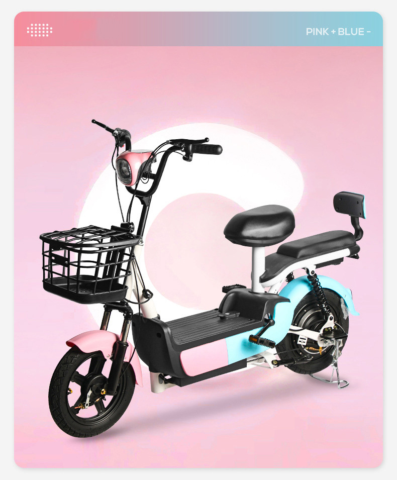 Custom Electric Bicycle, New National Standard, 48V 60V