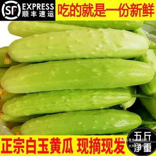 ��S��ꖰ���С�S�ϙM��ˮ������ˮ���S���ЋD�������r�߲�5����