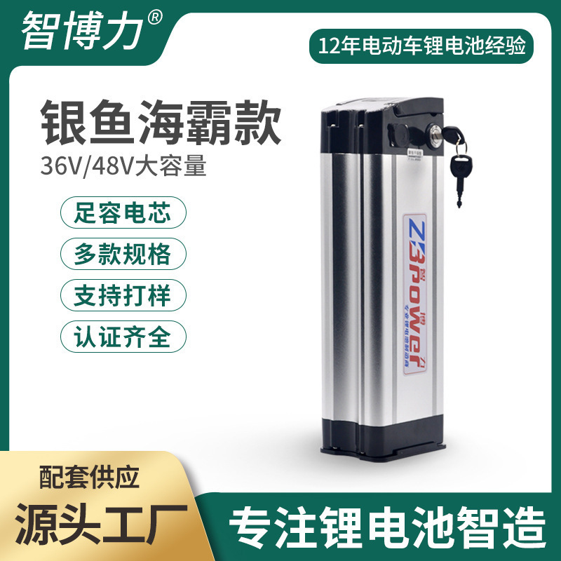 Factory direct supply 48V20Ah electric car Haiba silver fish lithium battery take-out folding bicycle battery pack