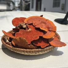 Ұɽ�؅^ɽ؛ ţ��֥ Ѫ�`֥��Ʒ�|��غ�����؛��؛