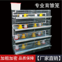 ӴּСu\r\ӿȸ\4һwʽruСuZ