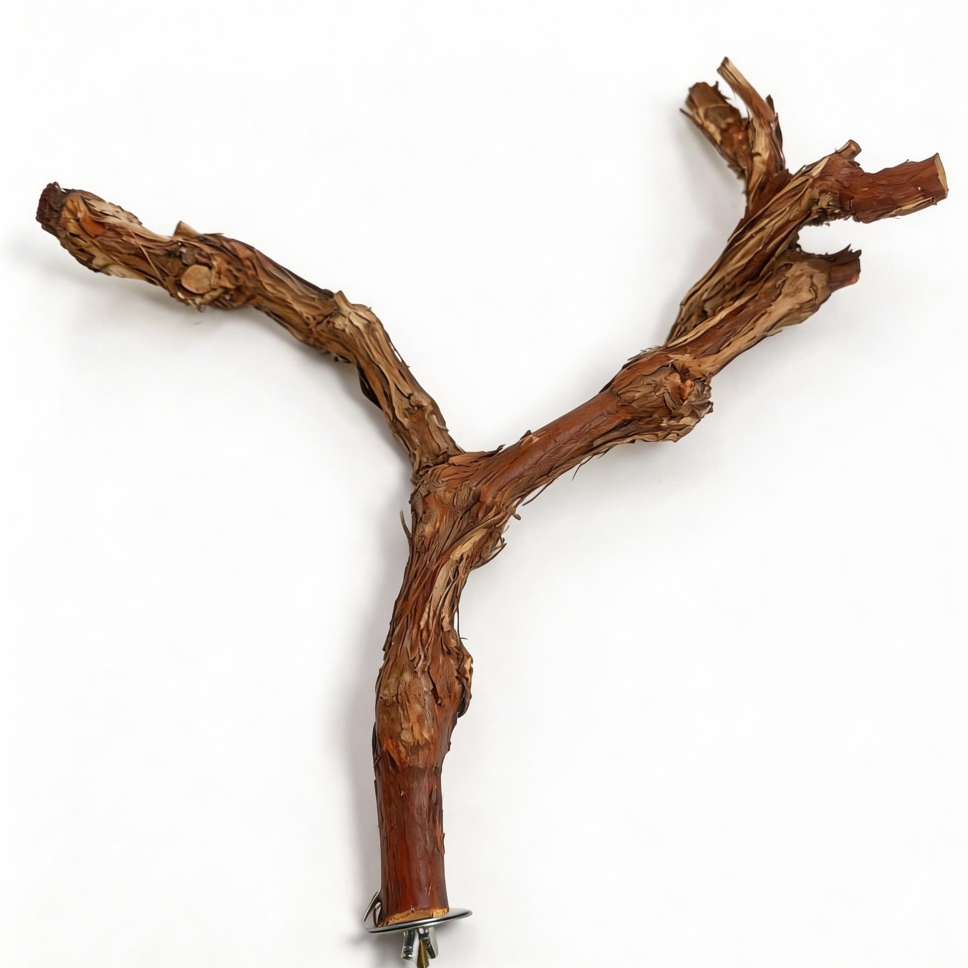 Percha de Madera de Vid de Doble Rama para Loro y Aves image 13