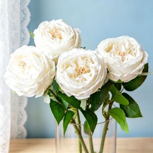 �羳���R�d���N��Ʒ�|�ָ�õ����滨��Y�Ҿ��҃��bٻ����l