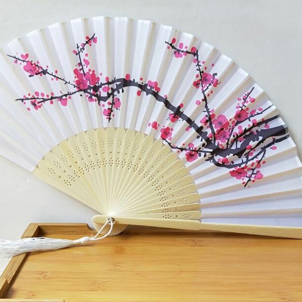 Hay en stock piezas de ventilador de pintura de tinta ligera transfronteriza ventilador de seda de ciruela