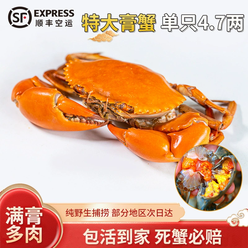 Паста Краб Мьянма Женский Краб Воздушный транспорт Бангладеш Зеленый Краб Свежий Кейтеринг Краб Дикий Острый Краб