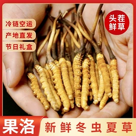 花果茶;燕窝;冬虫夏草