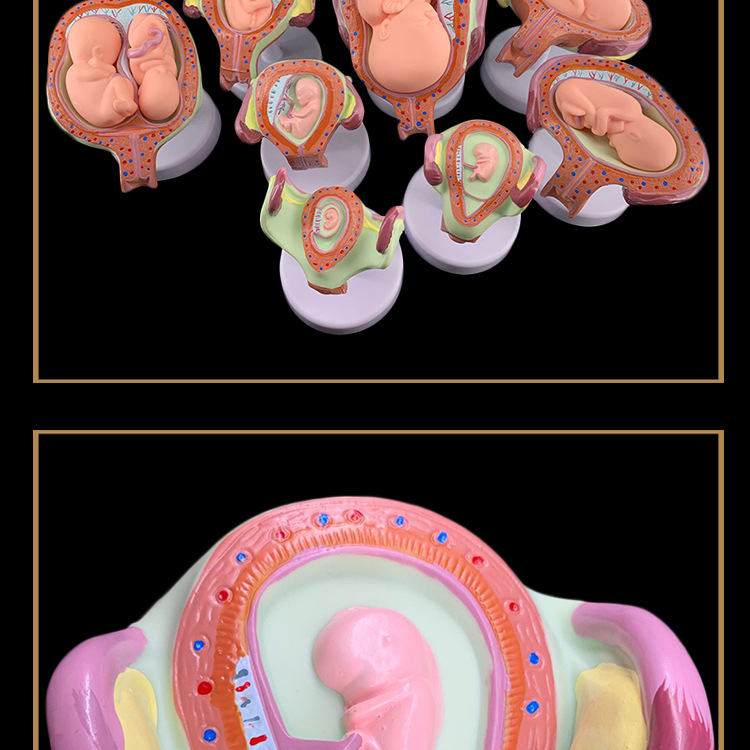 O1CN01s208h02Kk6XqKSXJ8_!!3578