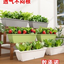 原起点塑料花盆家用长方形阳台种菜盆草莓种植盆蔬菜箱长条槽