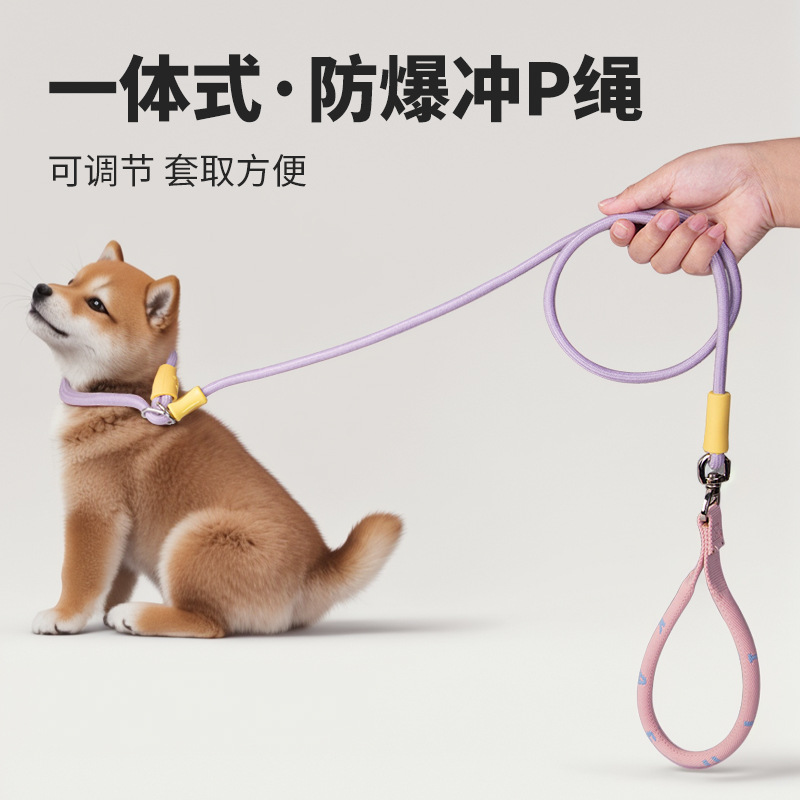 Cuerda para pasear perros, color fresco en contraste, cuerda a prueba de explosiones, cuerda de tracción para mascotas para perros pequeños