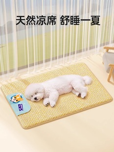 √ Dog Mat, Summer Sleeping Mat, Summer Kennel Mat, Pet Cat Sleeping Mat, Suitable for All Seasons