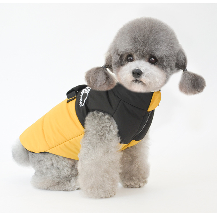 Red Dog Coat