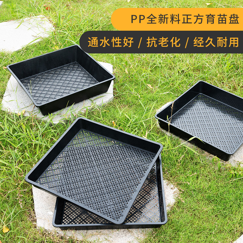 多肉育苗盘正方形小黑方托盘叶插盘育苗盒塑料花盆整理框育苗盘黑