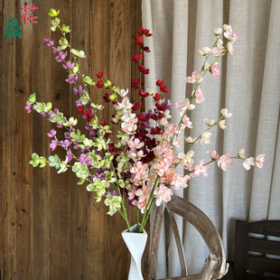 ���_�m �Nޱ ��Y�F����픻����b廨���滨 ��̨������������