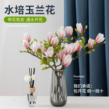 ˮ��ֲ�����m���r����ϻ���ֱ�l�҃Ⱥ��B�ͺ��r��֦���û�������