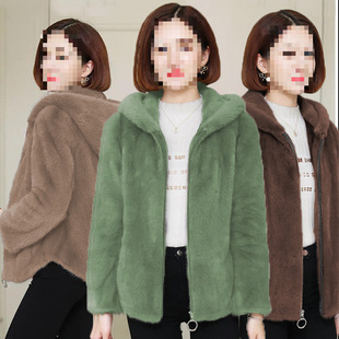 �ӽq�Ӻ��p��ɺ���q�ﶬ�����Bñ��ů�l��Ů�_��������ë�q����