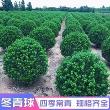 ����������S�����ļ�����ͥԺ����@�־G���������ξGֲ�A������