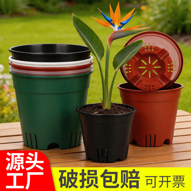 Nuevo recipiente de plástico transpirable al por mayor recipiente de flores multiculposa hortenida de hojas de color base de plantación recipiente de flores transparentes