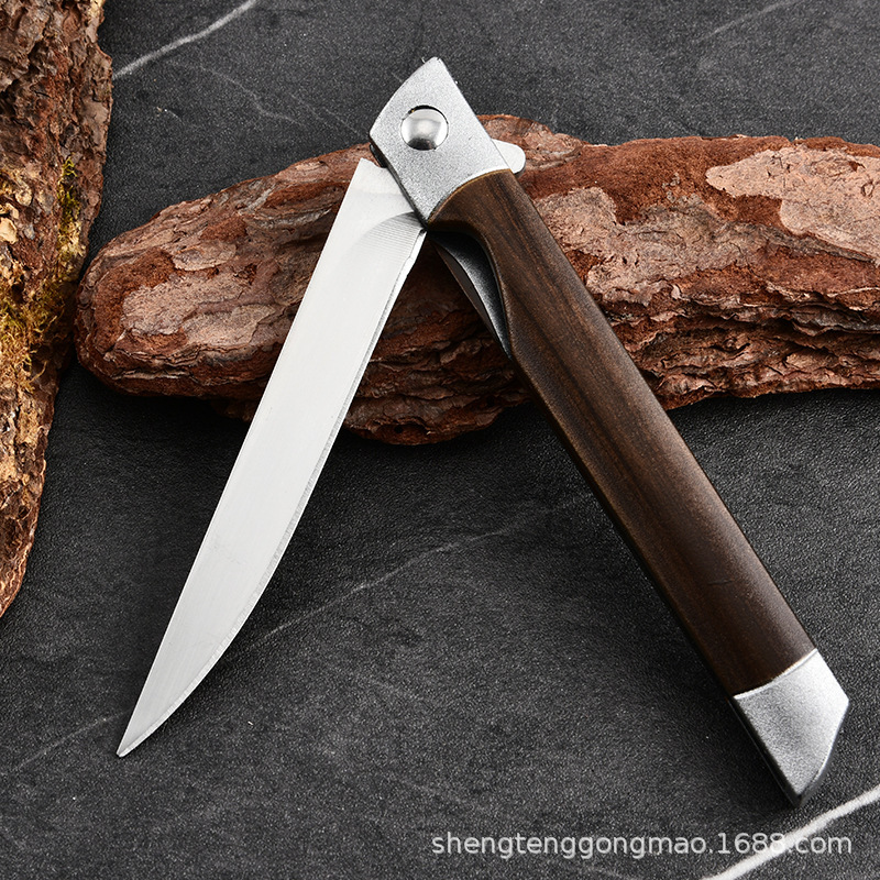 Cuchillo de frutas plegable de acero inoxidable portátil al aire libre camping multifuncional carne, verduras y frutas cortadas cortadas cuchillo de frutas