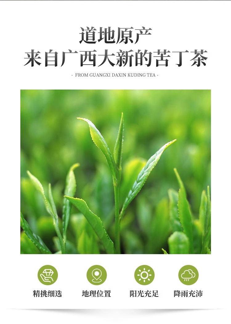 Ku Ding Tea Small Leaf Tender Buds 40g Canister Traditional Chinese Herbal Tea specifications