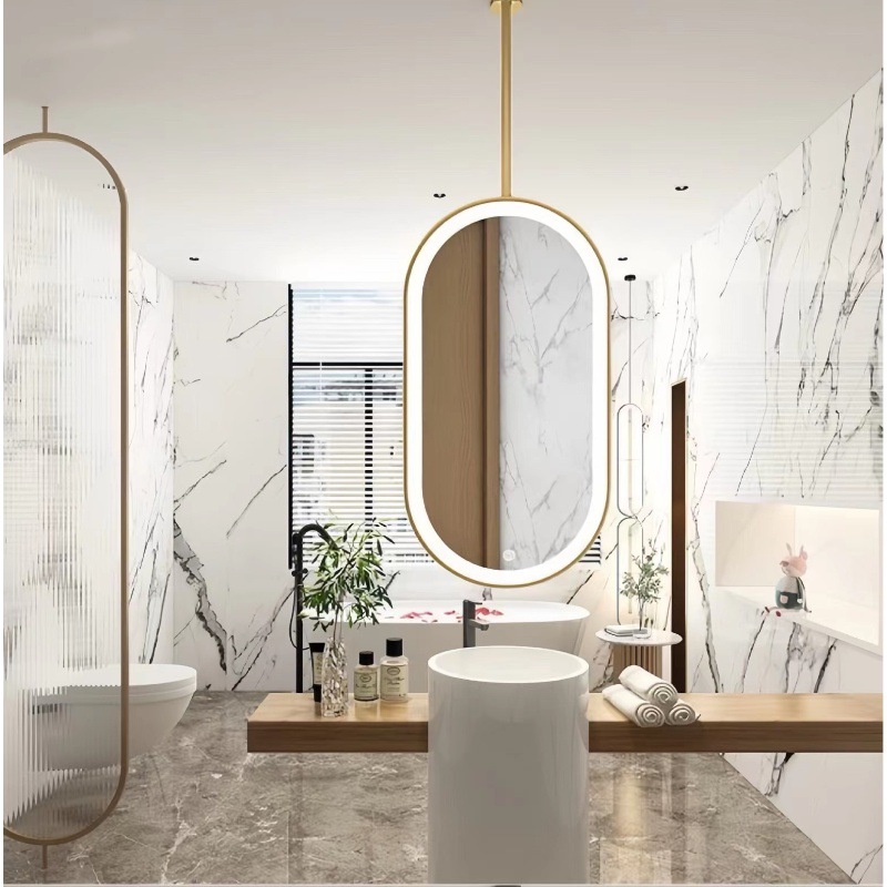 Hanging Mirror Suspended with Light Oval Hanging Rod Mirror Ceiling Bathroom Hanging Toilet Makeup Luminous Mirror