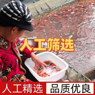 С���~�ͻ��^�p�~������ˮ�~�絭ˮ���۾����ֺ��B���N����[��