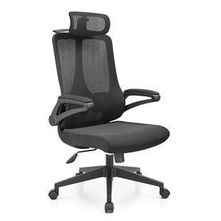 ϲ�P�p���������b���w���W�¼��k���W��