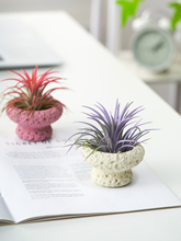 �����P�桿�՚��P���k���҃�����o���GֲС���Ԅ���ֲ����˺��B