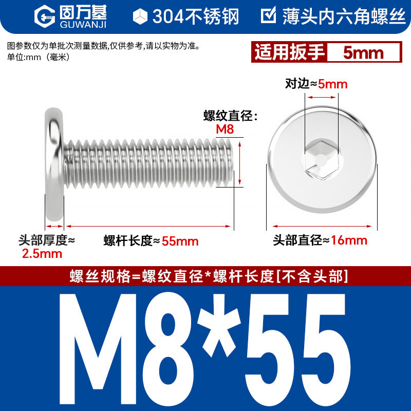 304 M8*55